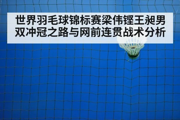 badminton net play